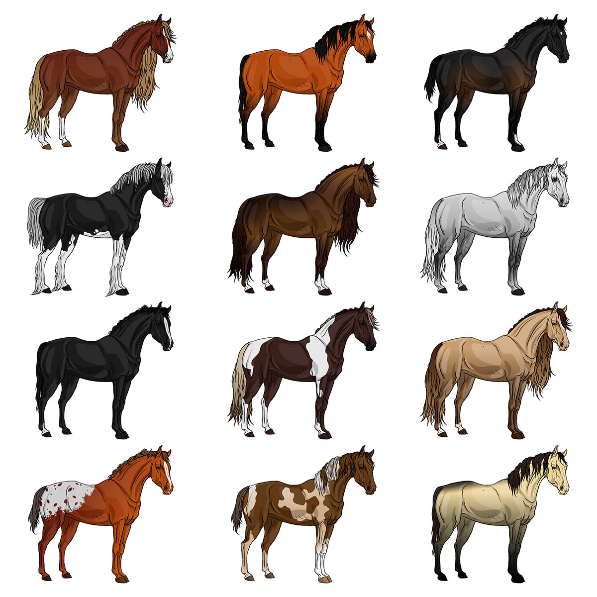 Different horse breeds